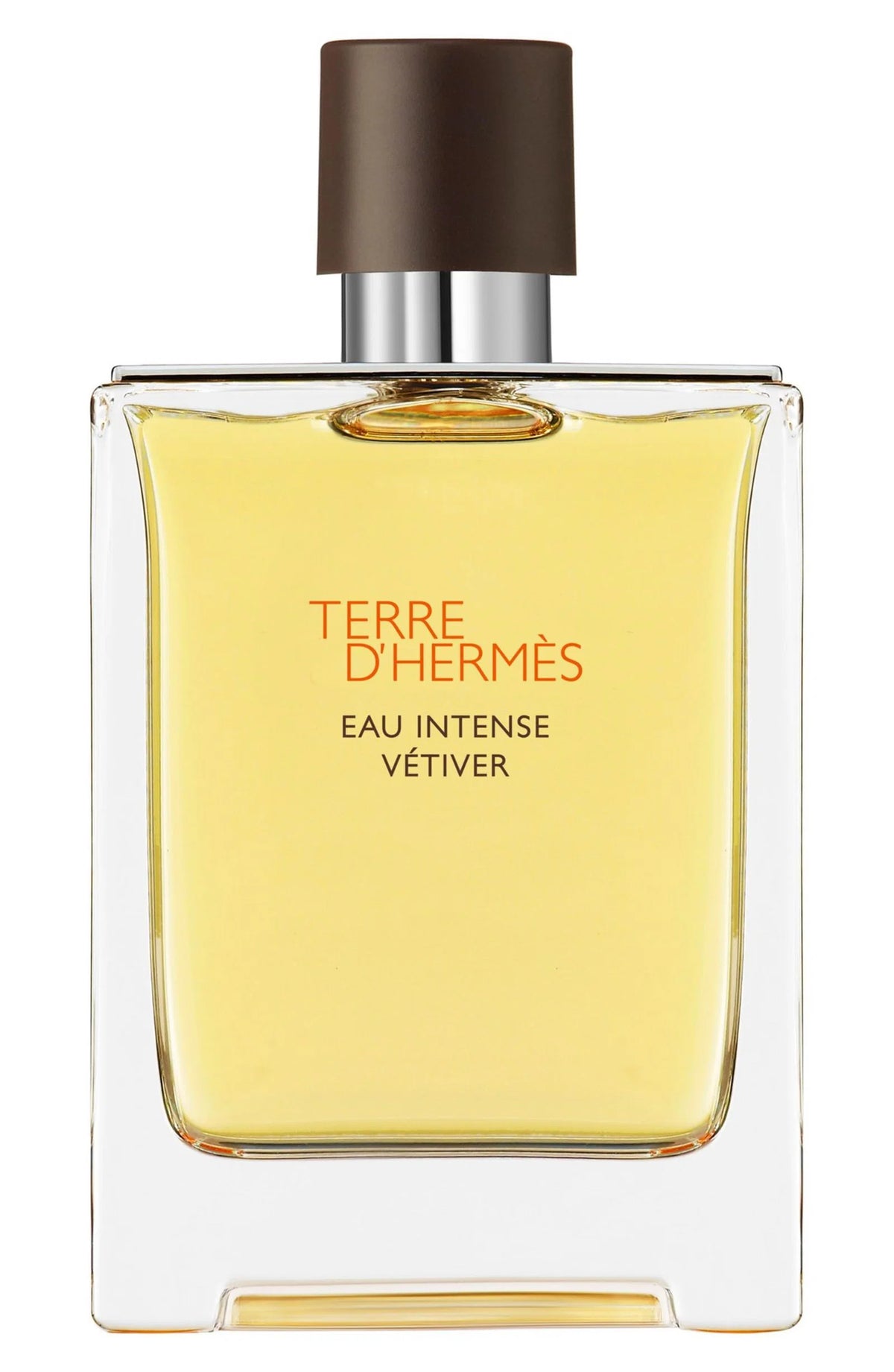 Hermes, Terre d`Hermes Intense Vetiver, Eau De Parfum, Για Άνδρες, 200 ml