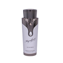 Armaf, Magnificent, Eau De Parfum, Για Άνδρες, 100 ml