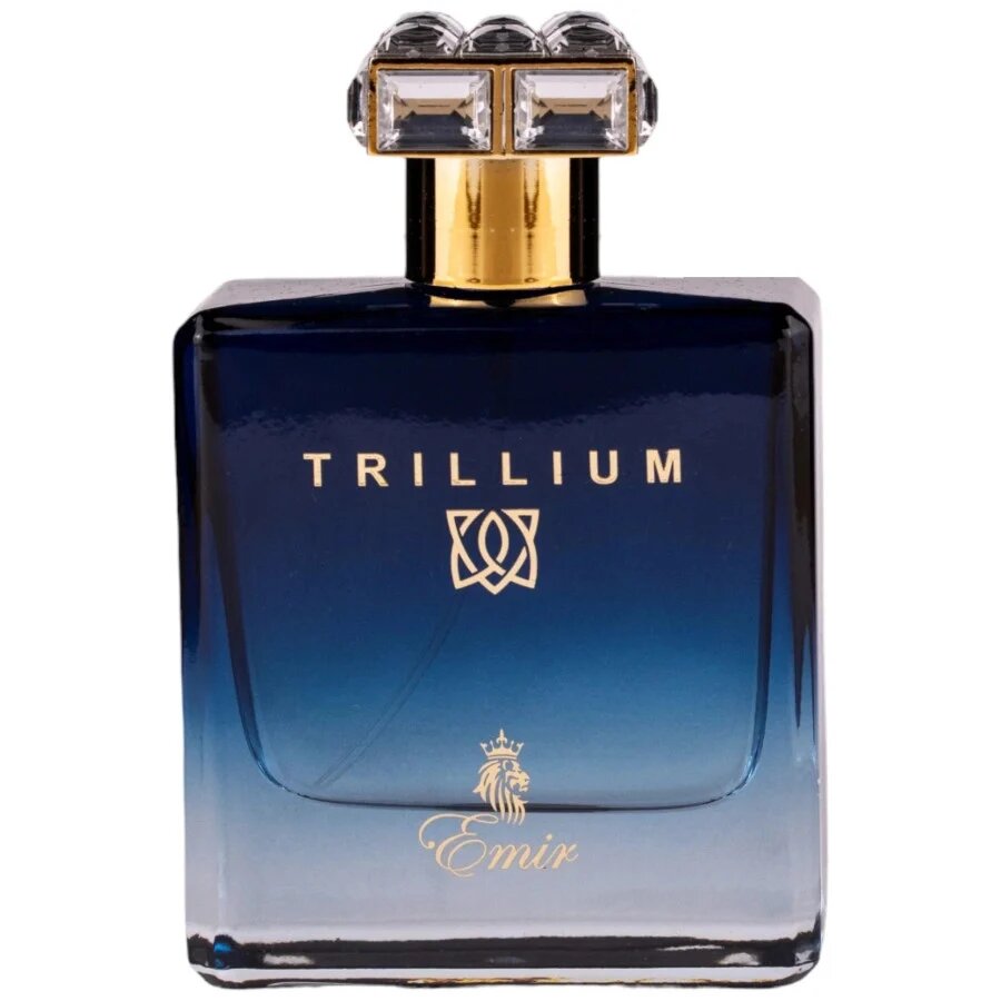 Emir, Trillium, Eau De Parfum, Για Άνδρες, 100 ml