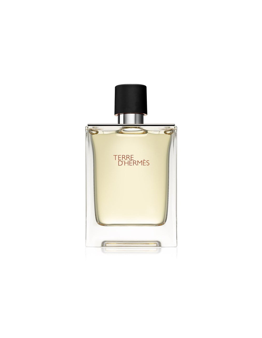 Hermes, Terre d'Hermes, Eau De Toilette, Ανδρικό, 100 ml