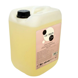 Inebrya, Ice Cream Energy, Hair Σαμπουάν, Anti-Hair Loss, Refill, 10000 ml