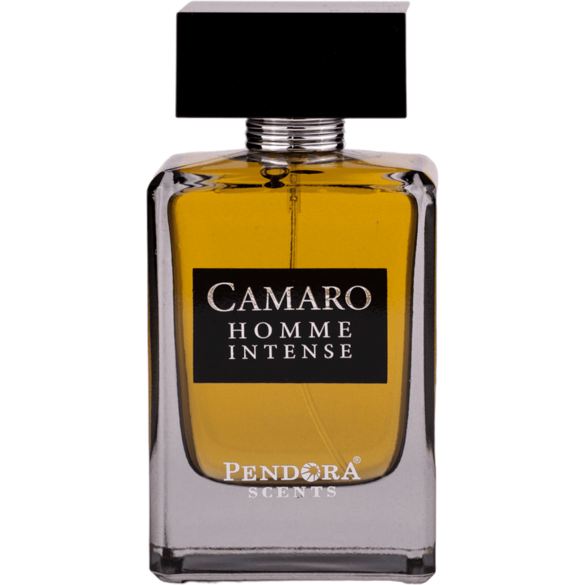 Pendora Scents, Camaro Homme Intense, Eau De Parfum, Ανδρικό, 100 ml